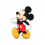 n8n-white-bg:1789003434032:gid://shopify/MediaImage/44195281797440