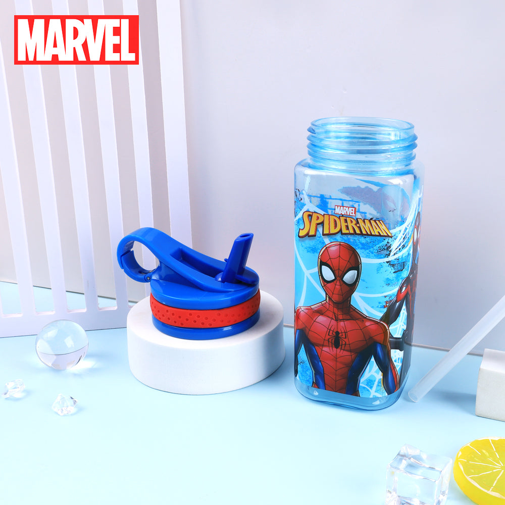Spider-Man - Other - DW24073-SM