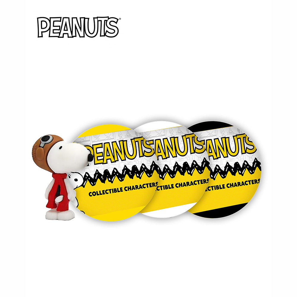 Peanuts - Blind Box - CT-PN003